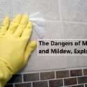 The Dangers of Mold and Mildew, Explained