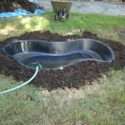 Top Tips to Consider When Installing a Pond