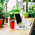 4 Benefits of Bringing Nature into the Office