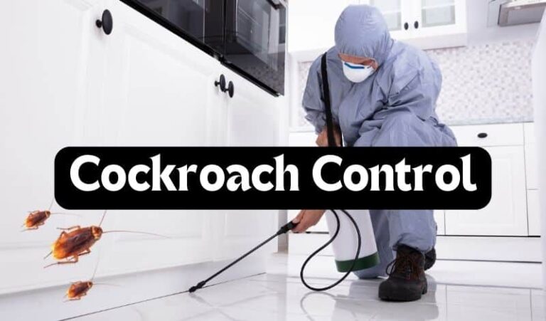 Best Pest Control Service