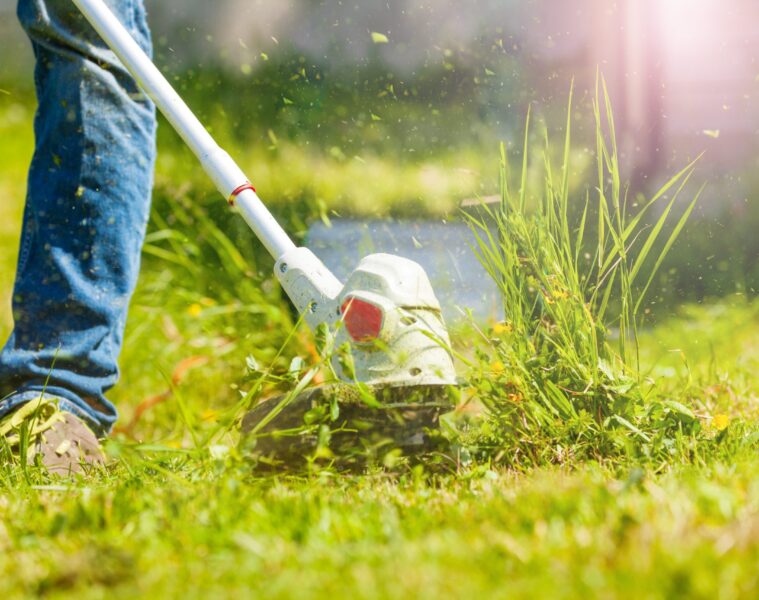 Battery Weed Eater